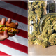 Illustration for article titled Man tries to buy hot dog with weed at Circle K